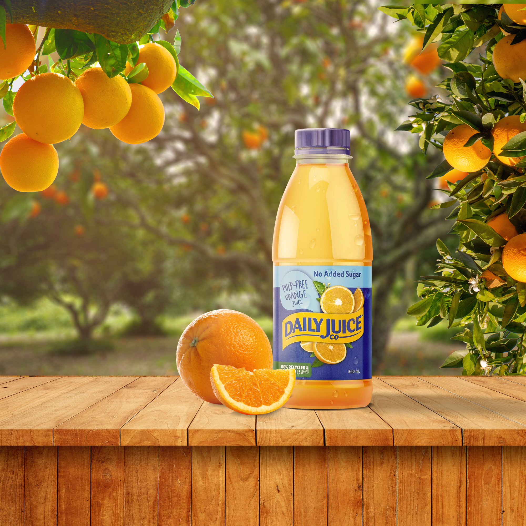 designs food& drinks — 12